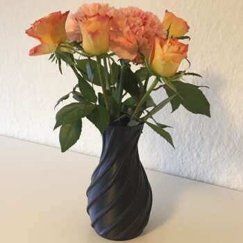 Twistora Vase
